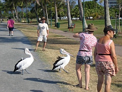 CairnsTC259 Esplanade